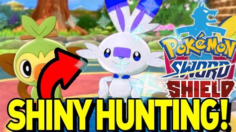 pokemon sword shiny hunting.